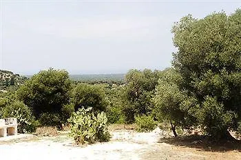 La Piana Degli Ulivi